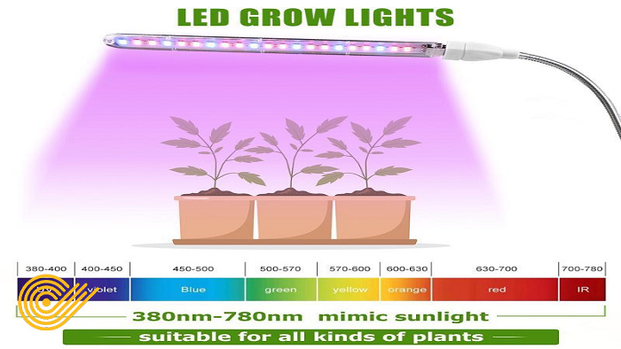 تفاوت لامپ رشد گیاه با لامپ معمولی در طیف نوری