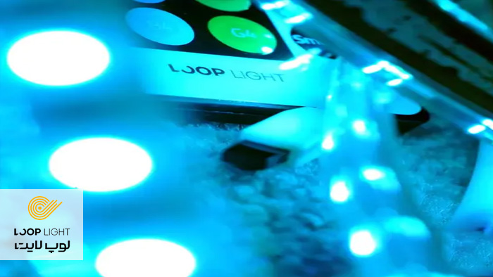 لوپ لایت، بزرگترین تولید کننده مقاطع نوری در خاورمیانه